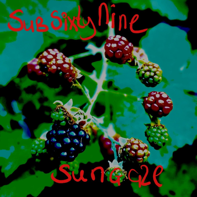 Albumhoes Sungaze van SubSixtyNine